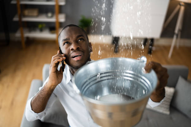 Best Ceiling water damage repair  in Morrison, IL