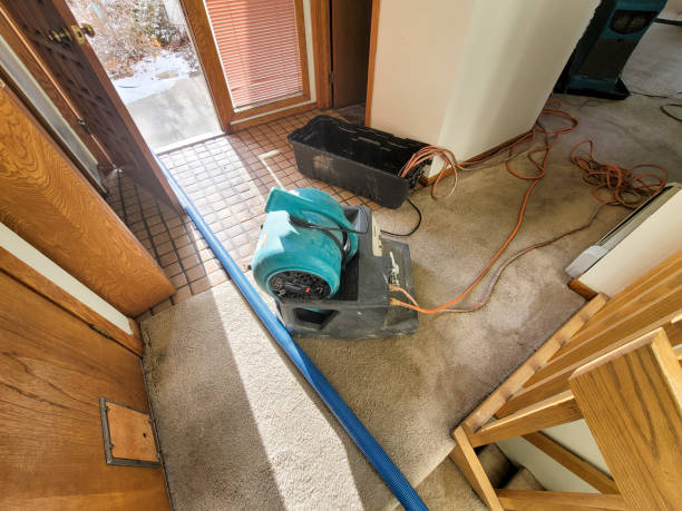 Best Water damage restoration near me  in Morrison, IL