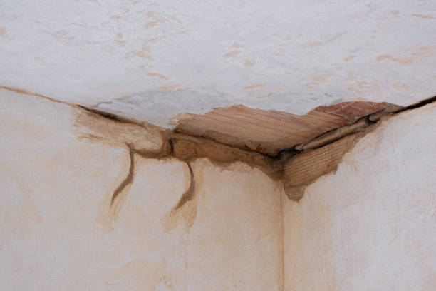 Best Fire Damage Restoration  in Morrison, IL