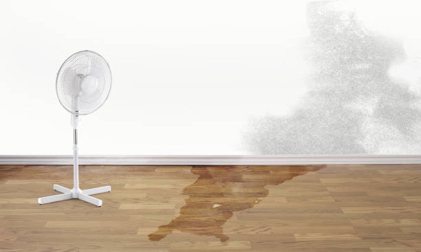 Reliable Morrison, IL Water damage restoration Solutions