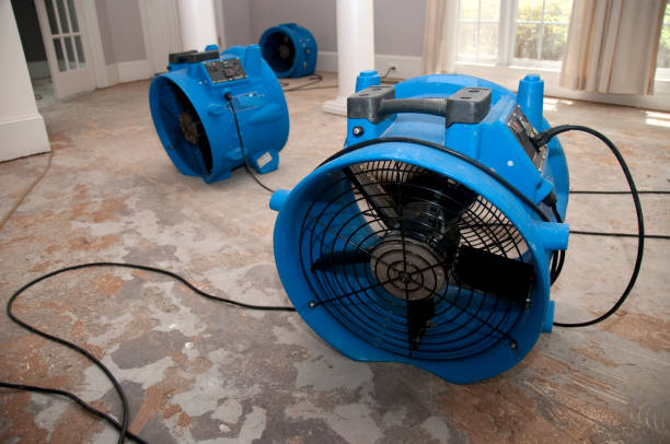 Best Water damage restoration near me  in Morrison, IL