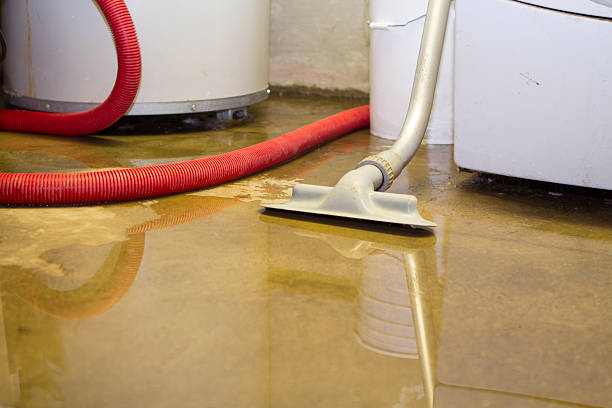Best Flood restoration services  in Morrison, IL