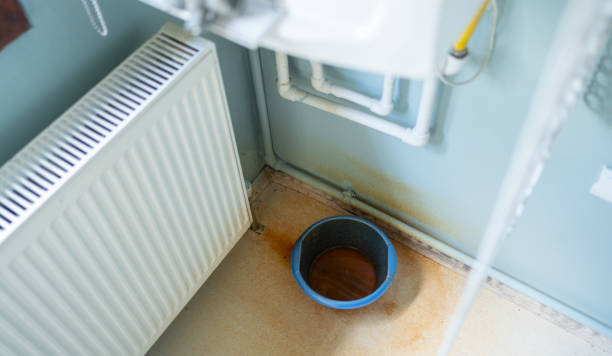 Best Water damage contractors near me  in Morrison, IL