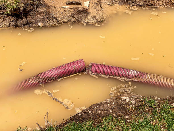Water damage restoration insurance claims in Morrison, IL