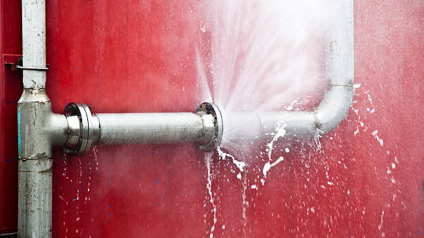 Best Commercial water damage restoration  in Morrison, IL