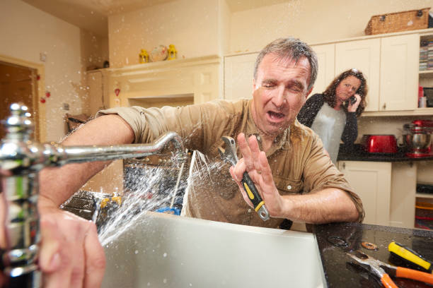 Best 24/7 water damage repair  in Morrison, IL